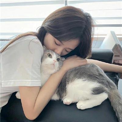 菊石